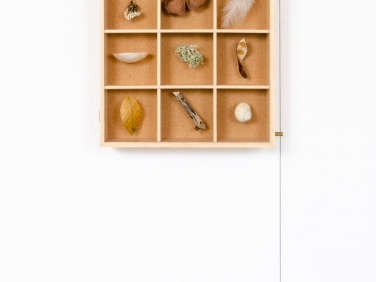 A Case for Display Ruperts Curiosities Cabinet portrait 6