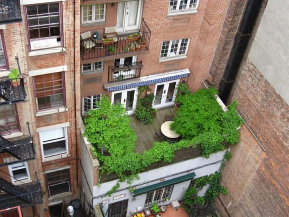 apartment garden ideas to steal green roof marie viljoen gardenista  