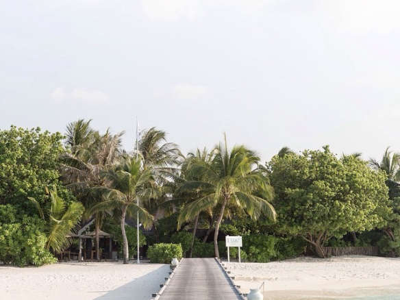 beach path maldives cereal  