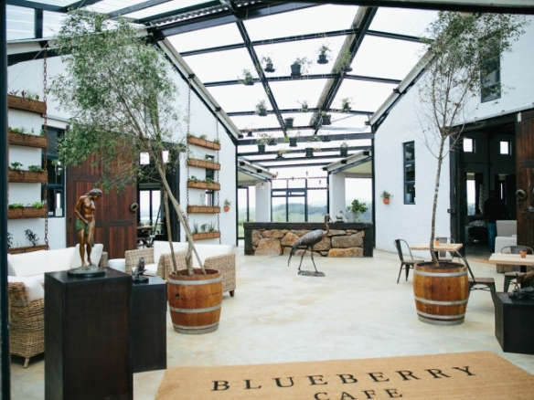 blueberry cafe samantha maber entrance gardenista  