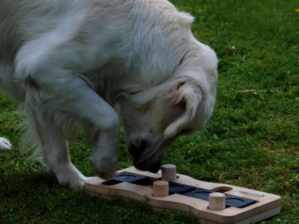 nina ottosson wooden dog 8