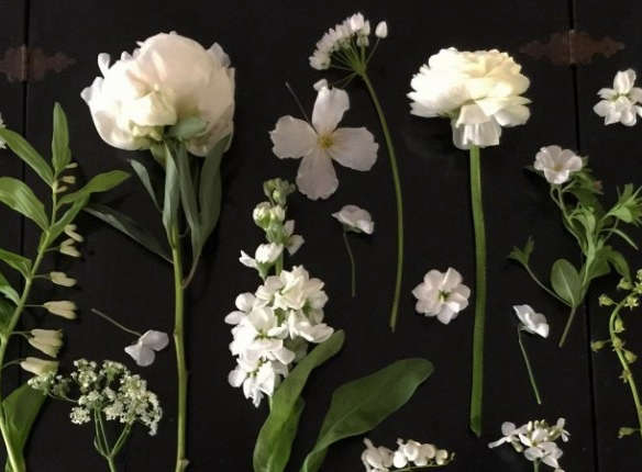 hero expert advice white flowers gardenista  