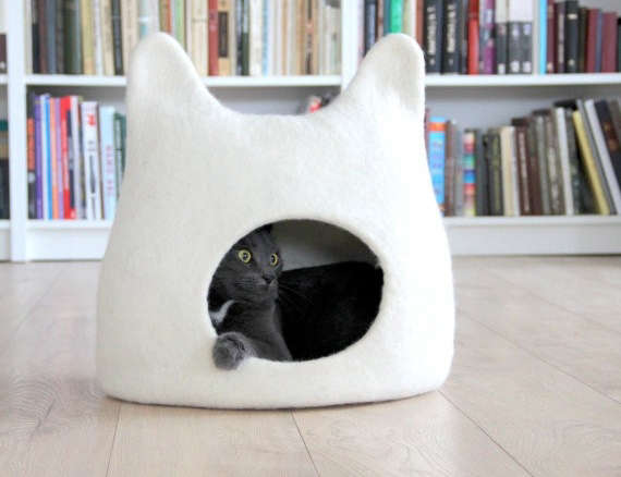 Cat House portrait 3 8