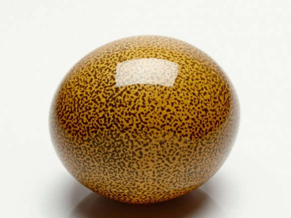 creel and gow speckled ostrich egg – orange 8