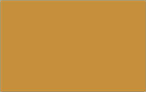 yellow oxide 2154 10 paint 8