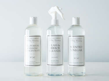 Domestic Science 10 Natural Cleaning Solutions for the Bathroom portrait 4