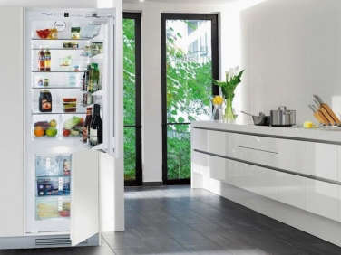 10 Easy Pieces Best Skinny Refrigerators portrait 5