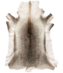 b.s. trading reindeer skin rug 8