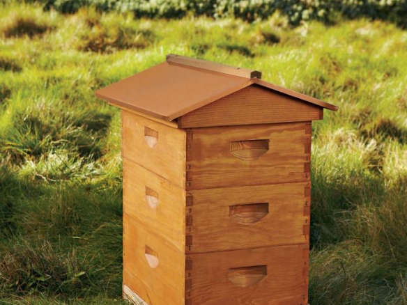 backyard beehive & starter kit 8