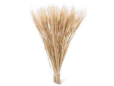 700 dried wheat product  