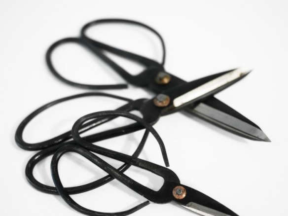 700 dunlin herb scissors 1  