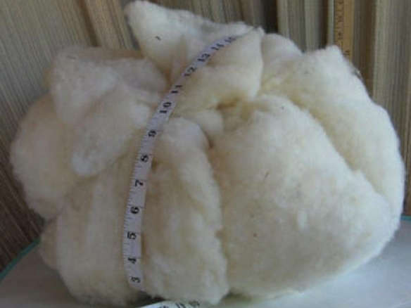 700 organic wool stuffing pound  
