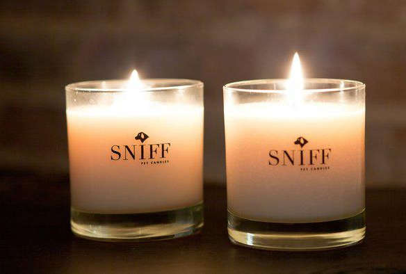 sniff pet candles 8