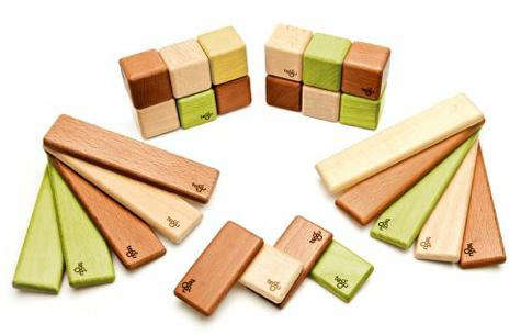 tegu discovery wooden block set 8