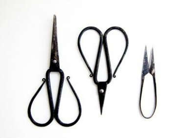 Everydat scissors  