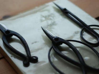 Japanese gardening scissors 1  