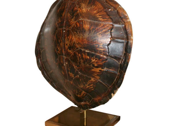 antony todd turtle lamp 8