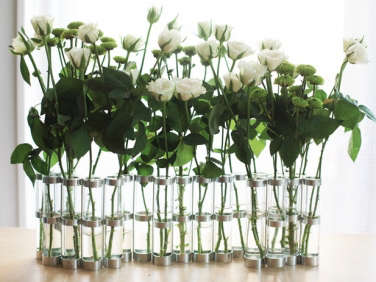 avril vase white flowers  