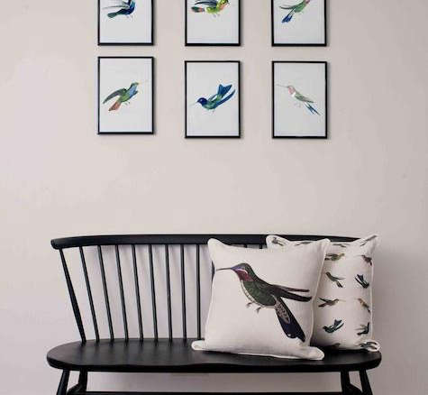 hummingbird wall prints 8