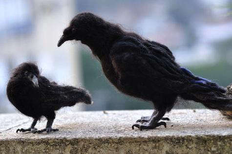 needle felted wool crows 8