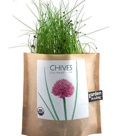 chives garden in a bag 8