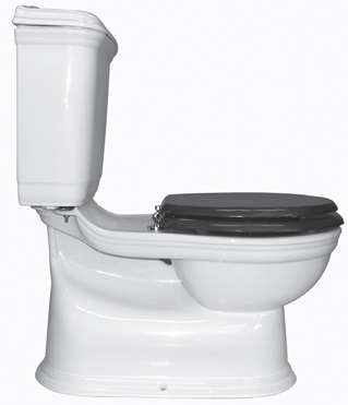 Sydney Smart Dual Flush Toilet portrait 6