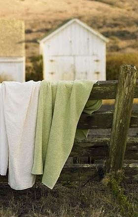 coyuchi terry bath towel 8