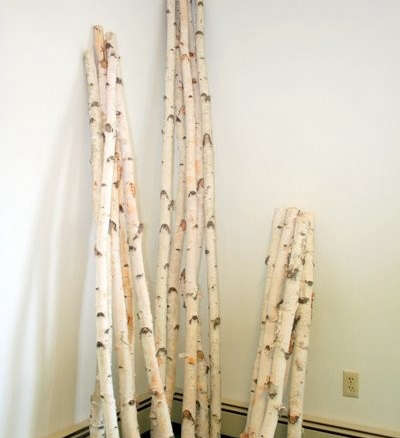 Decorative Birch Poles