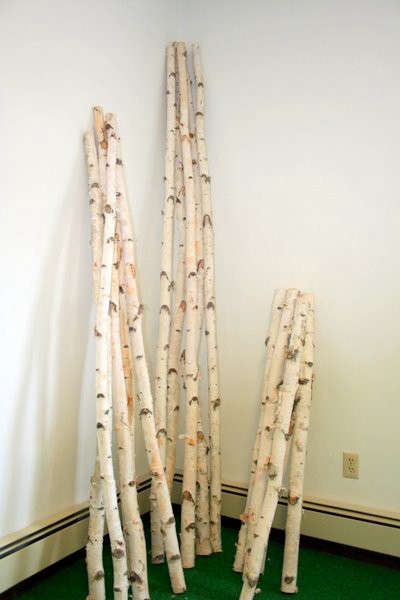 Decorative Birch Poles