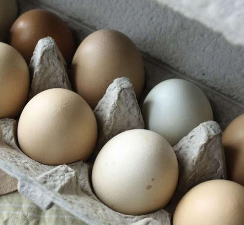 beautiful blown eggs 8