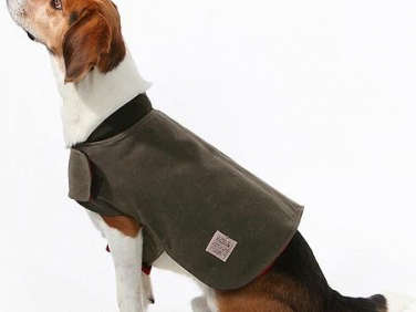 filson dog coat  