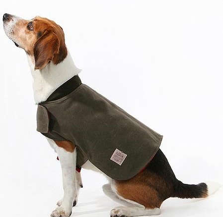 filson dog coat  