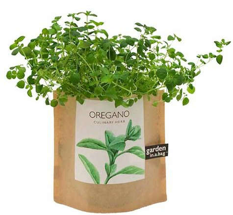 oregano garden in a bag 8