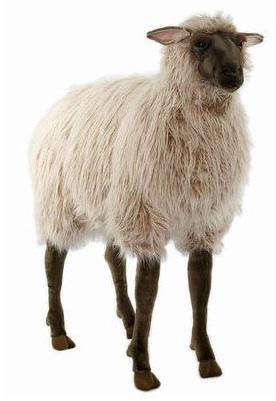 Hansa RideOn Sheep portrait 3