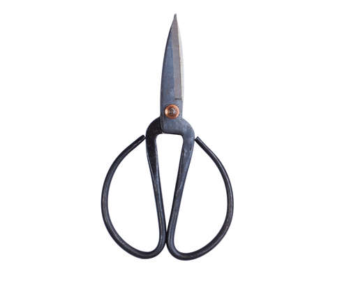 hay market kitchen scissors 8