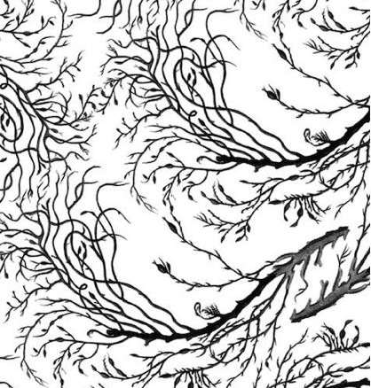 min hogg sea fern large wallpaper 8