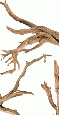 mtn driftwood branches 226  