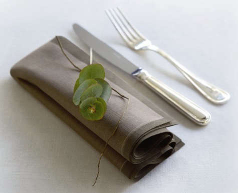 mydrap linen dinner napkins (uk) 8