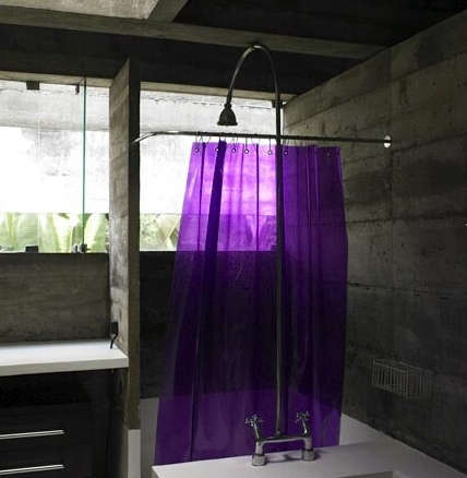 richard powers purple curtain  
