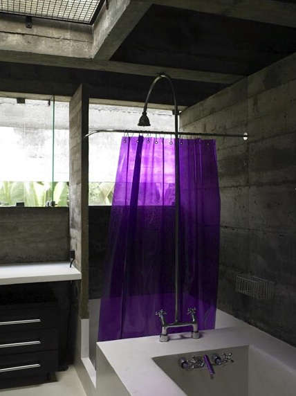 richard powers purple curtain