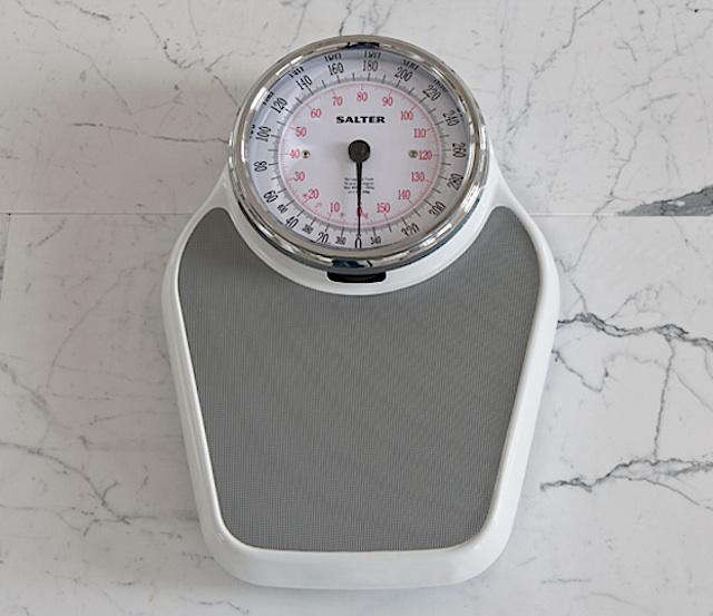 Salter 200 Professional Mechanical Scale