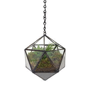suspended tetra terrarium – mini 8