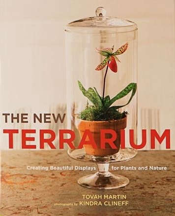 the  20  new  20  terrarium  