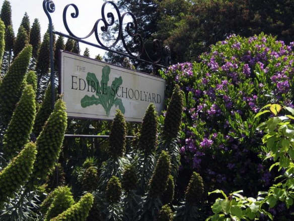 700 edible schoolyard sign  