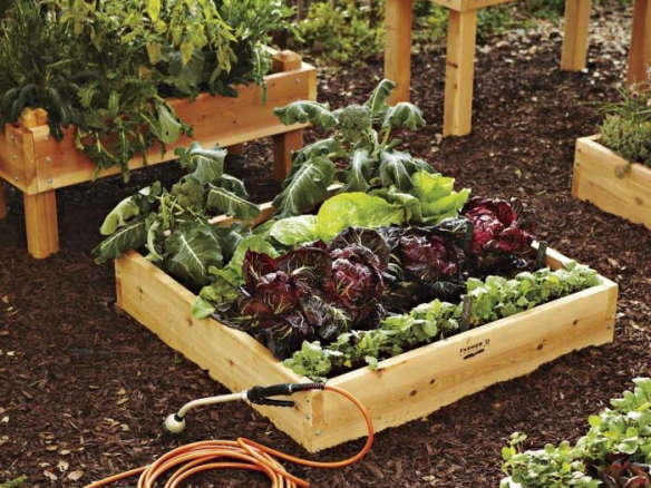700 raised beds cropped  