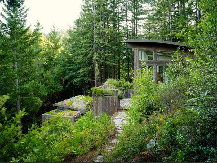 Feldman Architecture: Cottages in the Mill Valley Forest - Remodelista