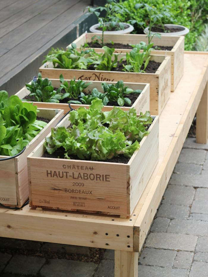 DIY: Small Space Vegetable Garden - Remodelista
