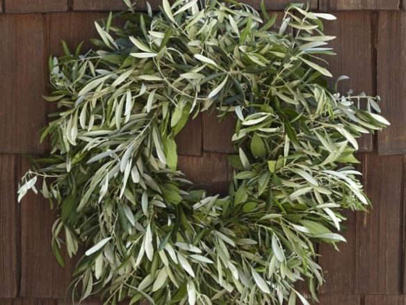 700 live olive myrtle wreath  