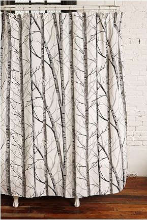 birch forest shower curtain 8