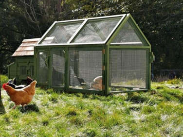 700 agrarian chicken coop in green  
